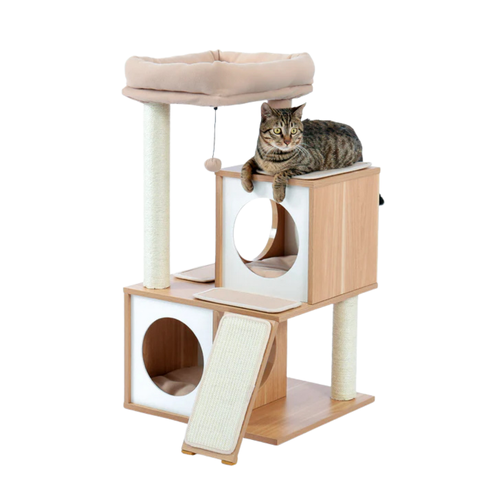 Tabby cat on a wooden cat tree with two condos, top bed and scratching ramp