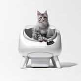 CATLINK Open X Smart Automatic Self-Cleaning Cat Litter Box – White