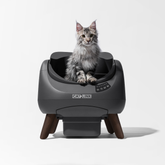 CATLINK Open X Smart Automatic Self-Cleaning Cat Litter Box – Grey