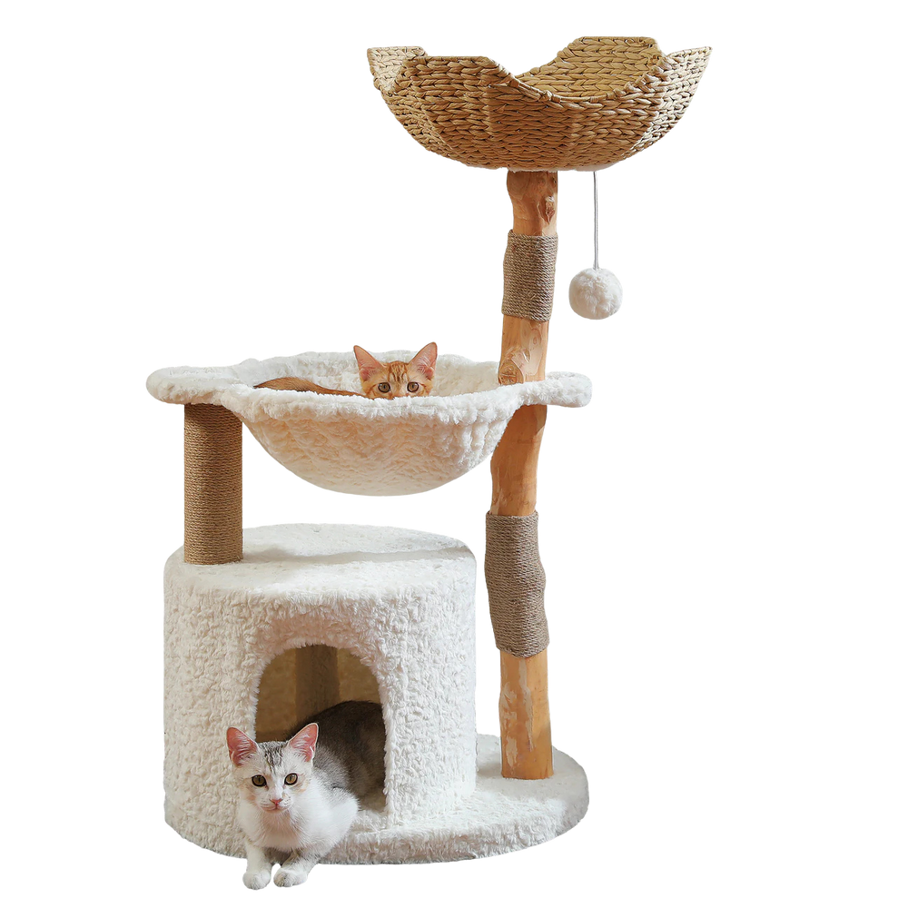 Wooden cat tree with woven basket, plush hammock and condo, with two cats