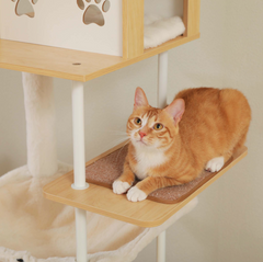 Orange cat resting on a cat tree platform