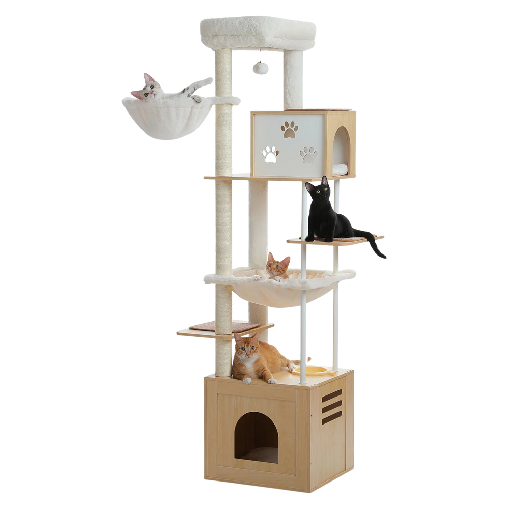 Cats on a tall wooden cat tree with hammocks, condos and a feeding bowl