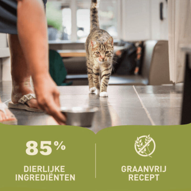 Acana Premium Pate(85 gr)