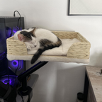 Desk Mounted Cat Bed with 360° Rotation – Handwoven Rattan Cat Perch for Office & Workstation | Clamp-On Cat Shelf (40×30cm)