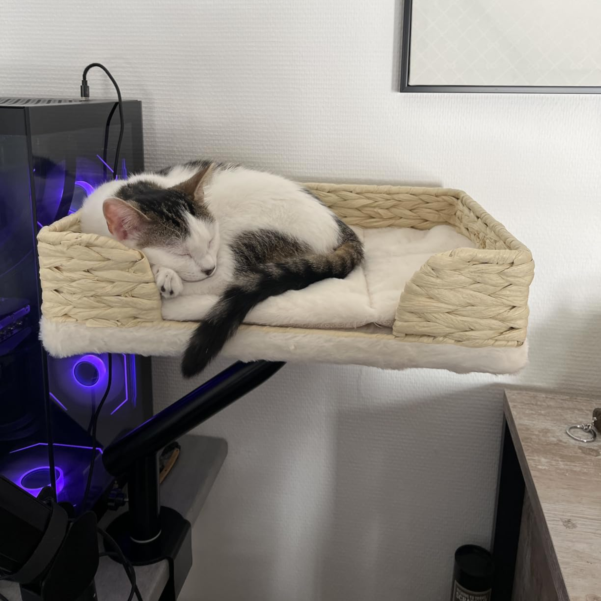 Desk Mounted Cat Bed with 360° Rotation – Handwoven Rattan Cat Perch for Office & Workstation | Clamp-On Cat Shelf (40×30cm)