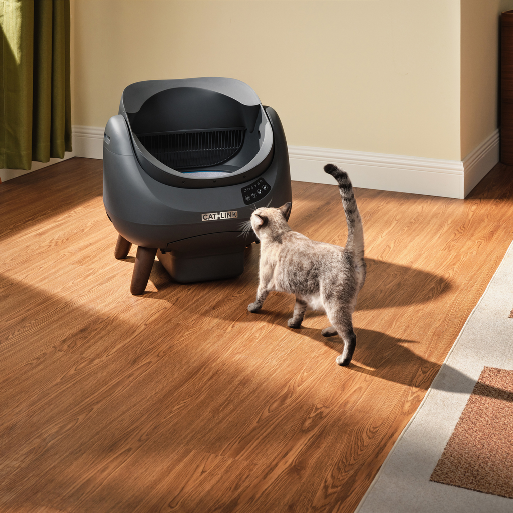 CATLINK Open X Smart Automatic Self-Cleaning Cat Litter Box – Grey