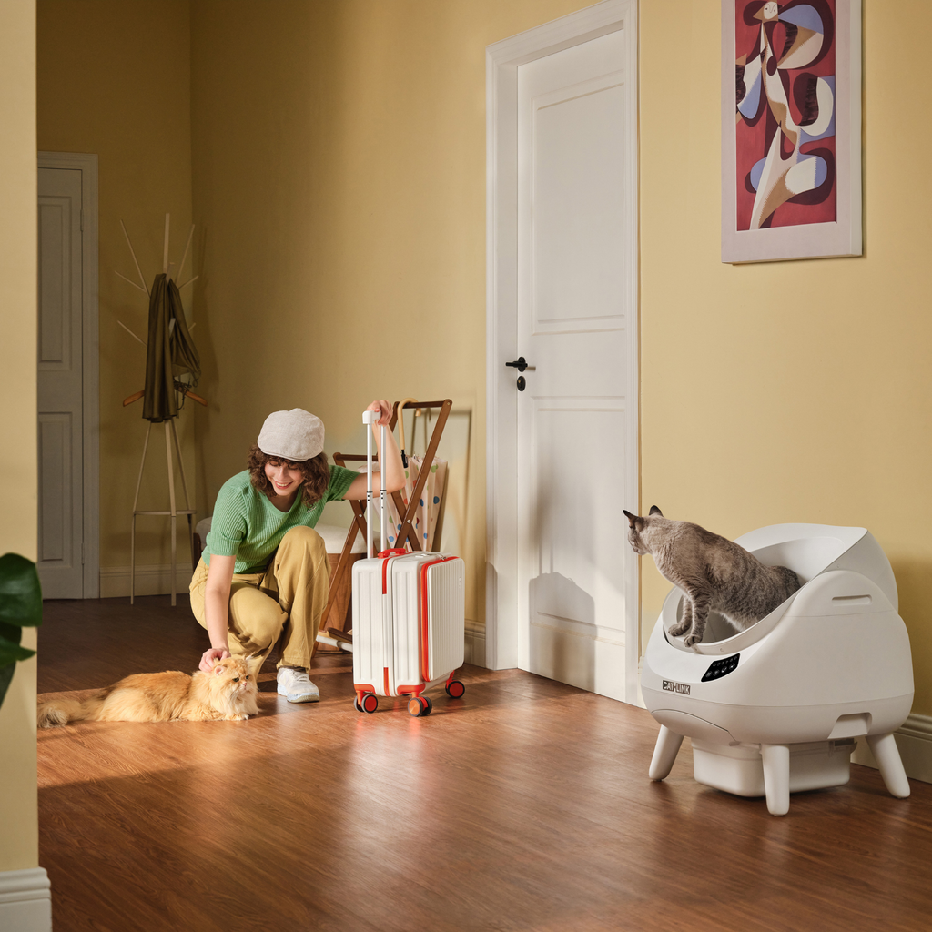 CATLINK Open X Smart Automatic Self-Cleaning Cat Litter Box – White