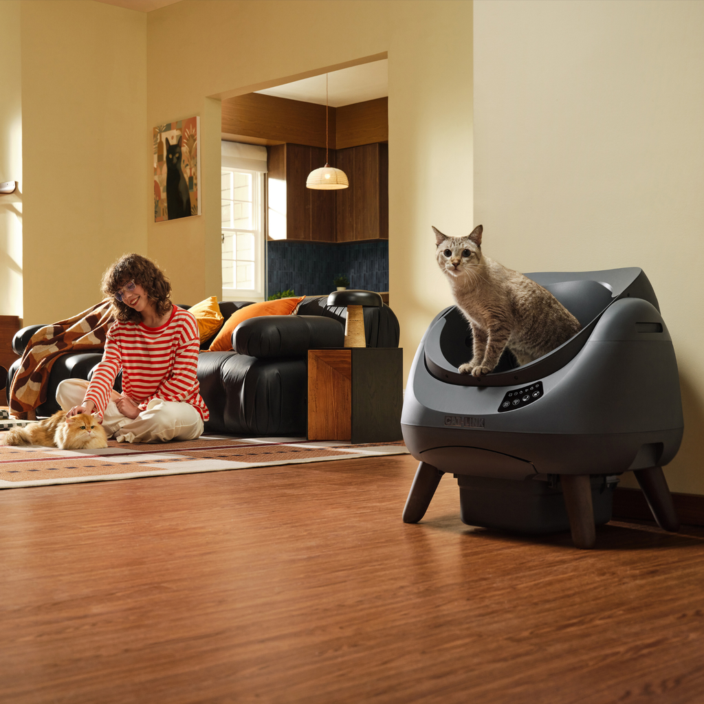 CATLINK Open X Smart Automatic Self-Cleaning Cat Litter Box – Grey