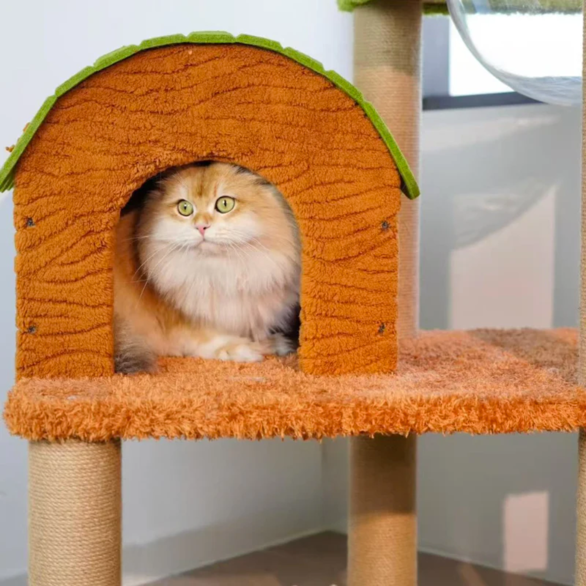 EcoPawPaw Forest Cottage Cat Tree Collection | Woodland Cat Tower with Cozy House, Scratching Posts & Lounge Bed