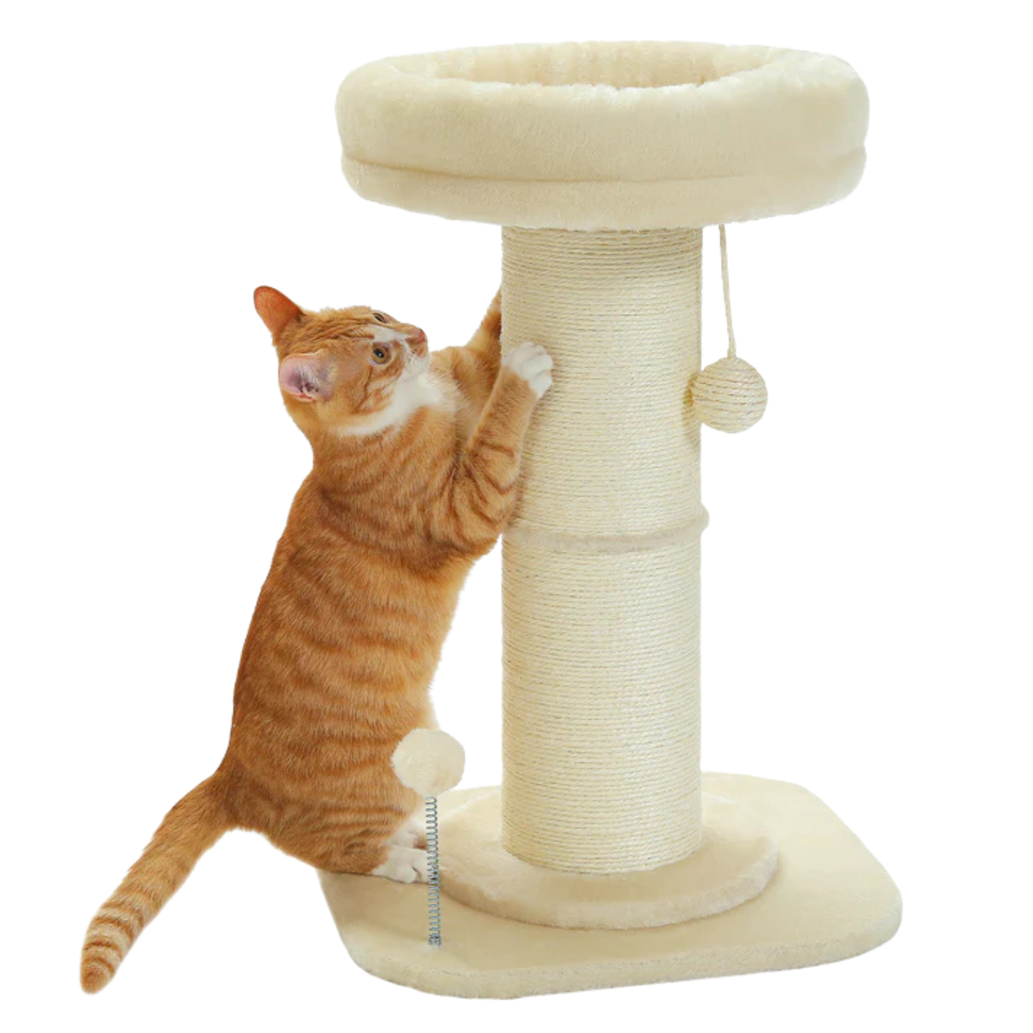 Extra Thick Flower Cat Scratching Post