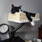 Desk Mounted Cat Bed with 360° Rotation – Handwoven Rattan Cat Perch for Office & Workstation | Clamp-On Cat Shelf (40×30cm)