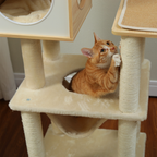 EcoPawPaw 132cm Modern Wooden Cat Tree with Cozy Condo, Hammock & Large Top Perch