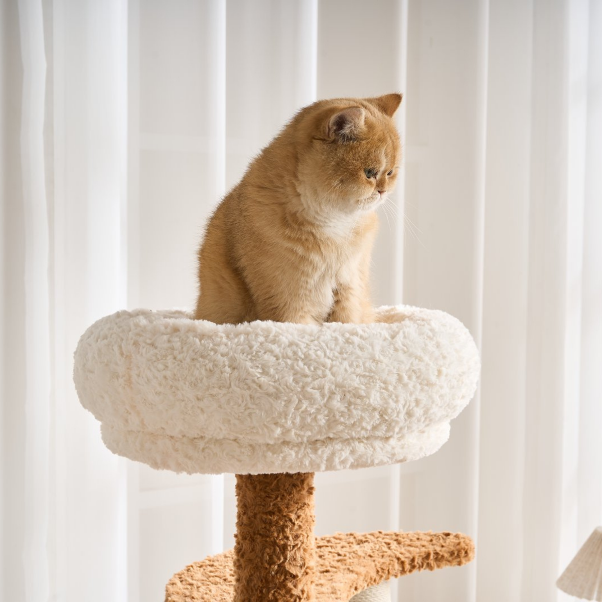 EcoPawPaw 128cm Flower Cat Tree with Transparent Hammock & Sisal Scratching Posts