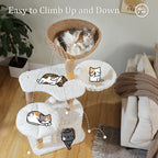 EcoPawPaw Natural Wood Cat Tree with Handwoven Rattan Basket, Hammock & Cat Condo | 123cm Luxury Cat Tower for Indoor Cats