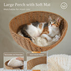 EcoPawPaw Natural Wood Cat Tree with Handwoven Rattan Basket, Hammock & Cat Condo | 123cm Luxury Cat Tower for Indoor Cats