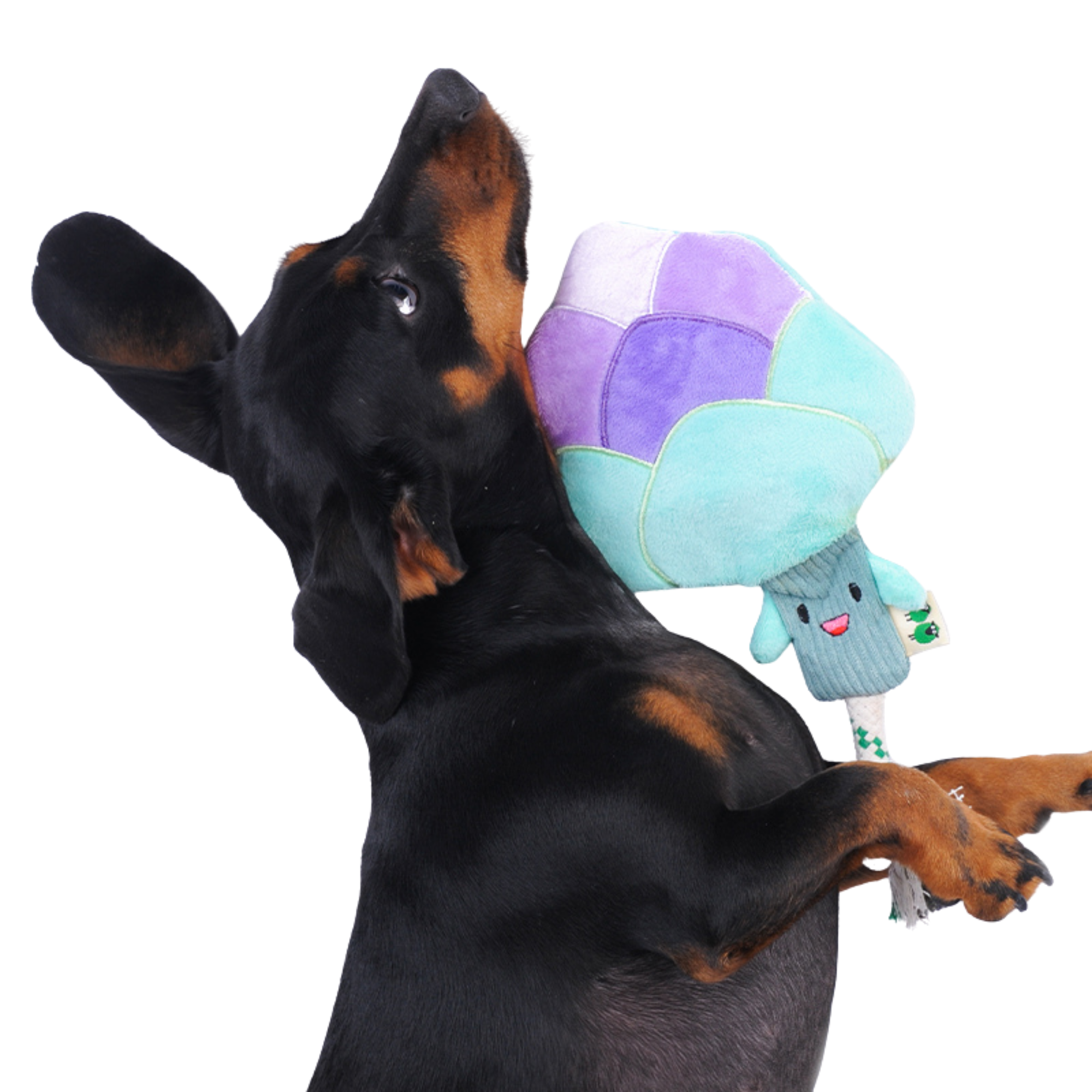EcoPawPaw Recycled Stuffing-Free Squeaky Dog Toy – Vegetable Collection