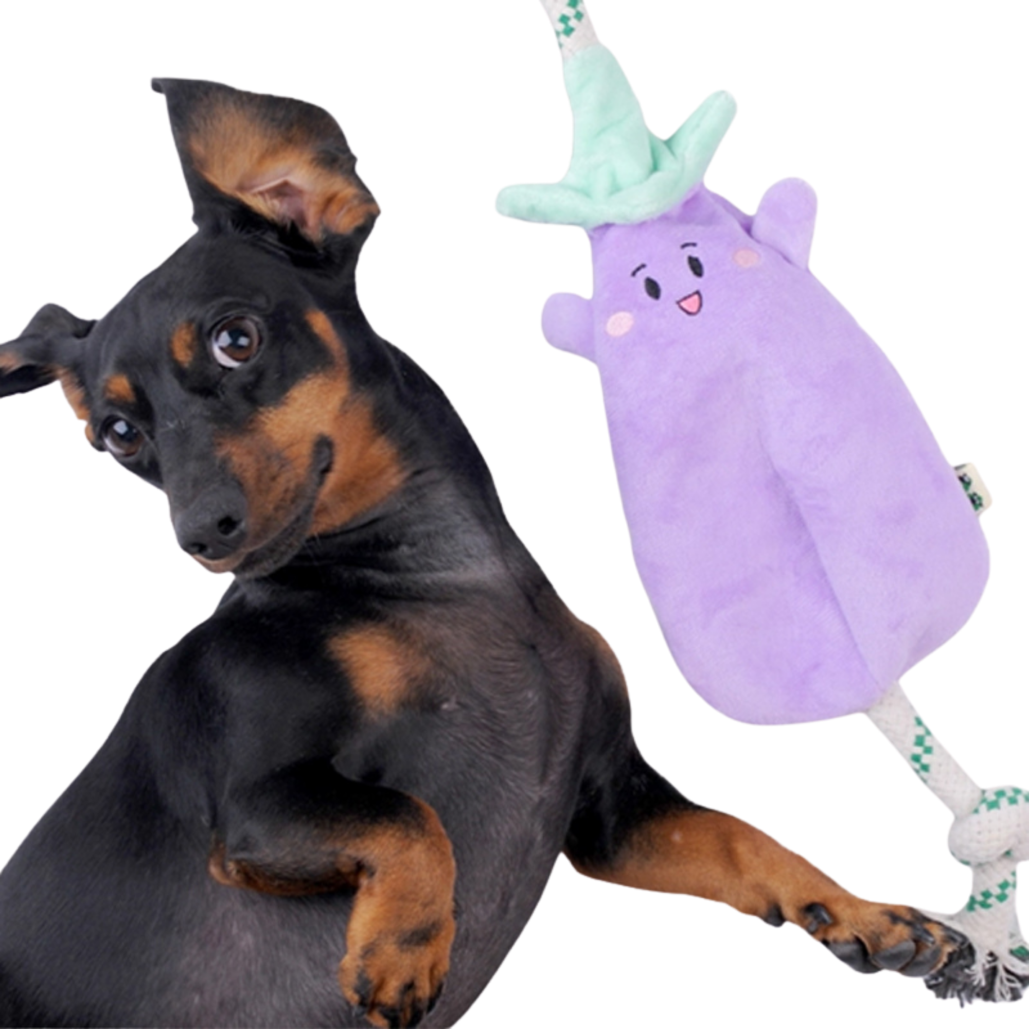 EcoPawPaw Recycled Stuffing-Free Squeaky Dog Toy – Vegetable Collection