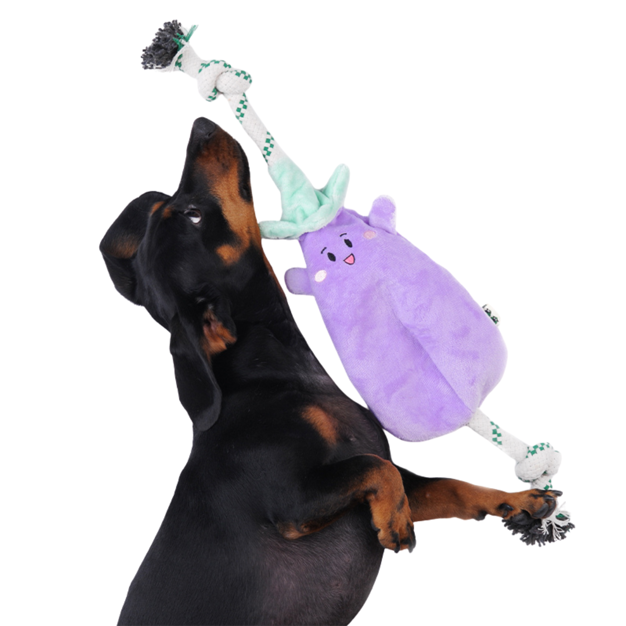 EcoPawPaw Recycled Stuffing-Free Squeaky Dog Toy – Vegetable Collection