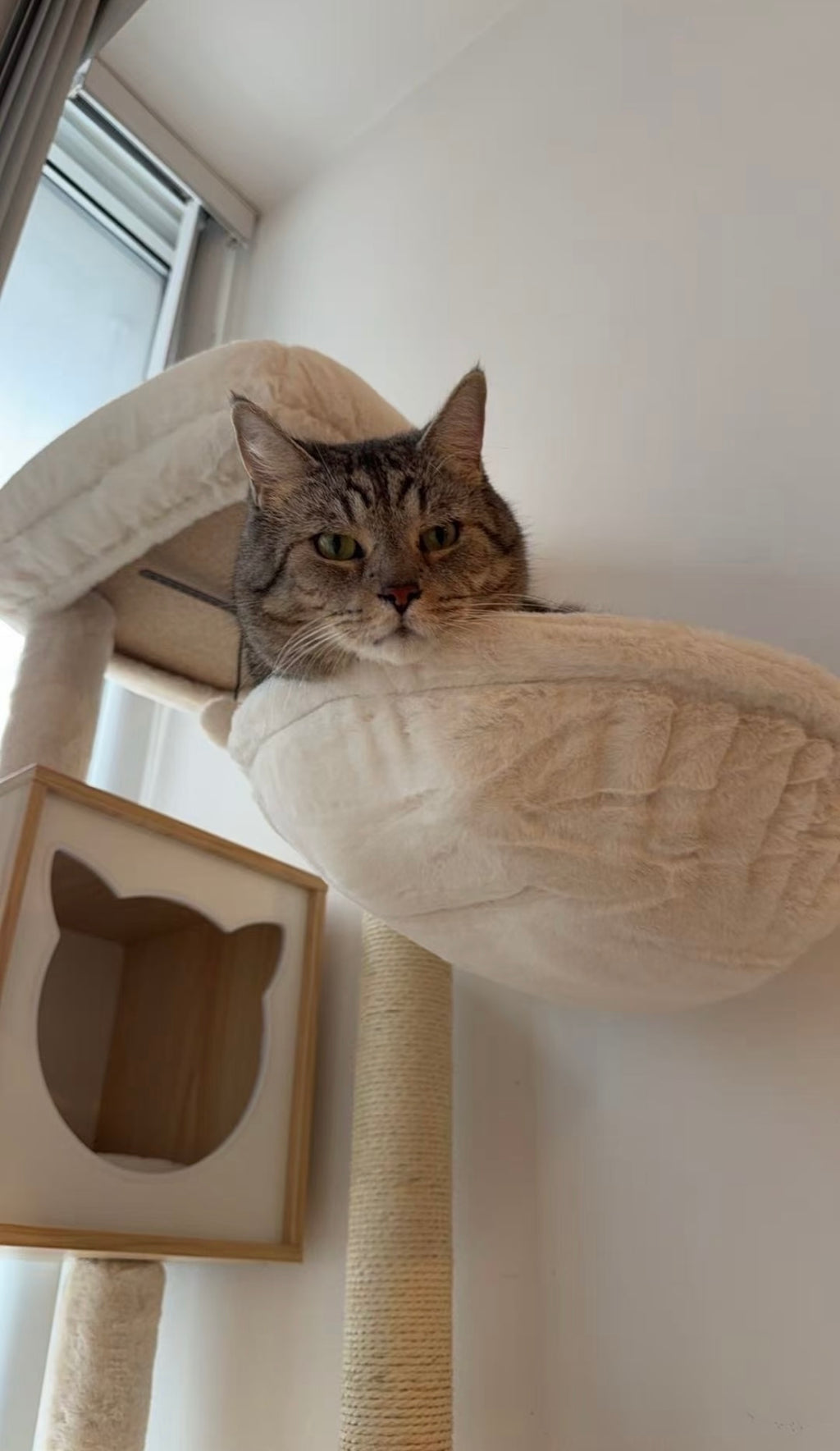 Cream Style Solid Wood Cat Tree Tower