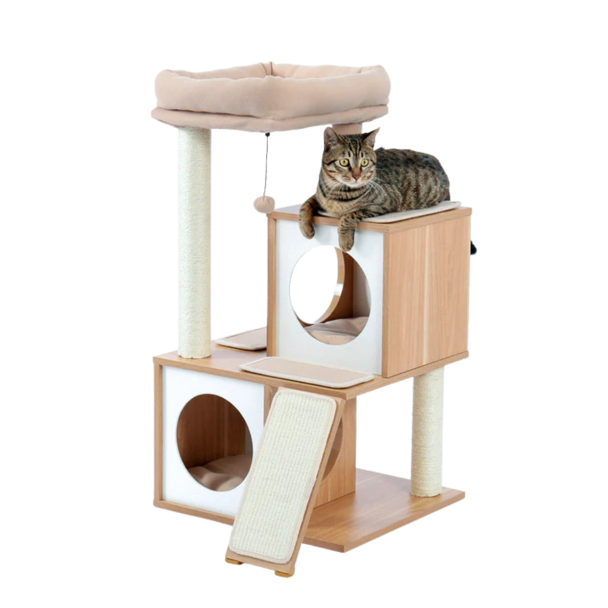 Tabby cat on a wooden cat tree with two condos, top bed and scratching ramp