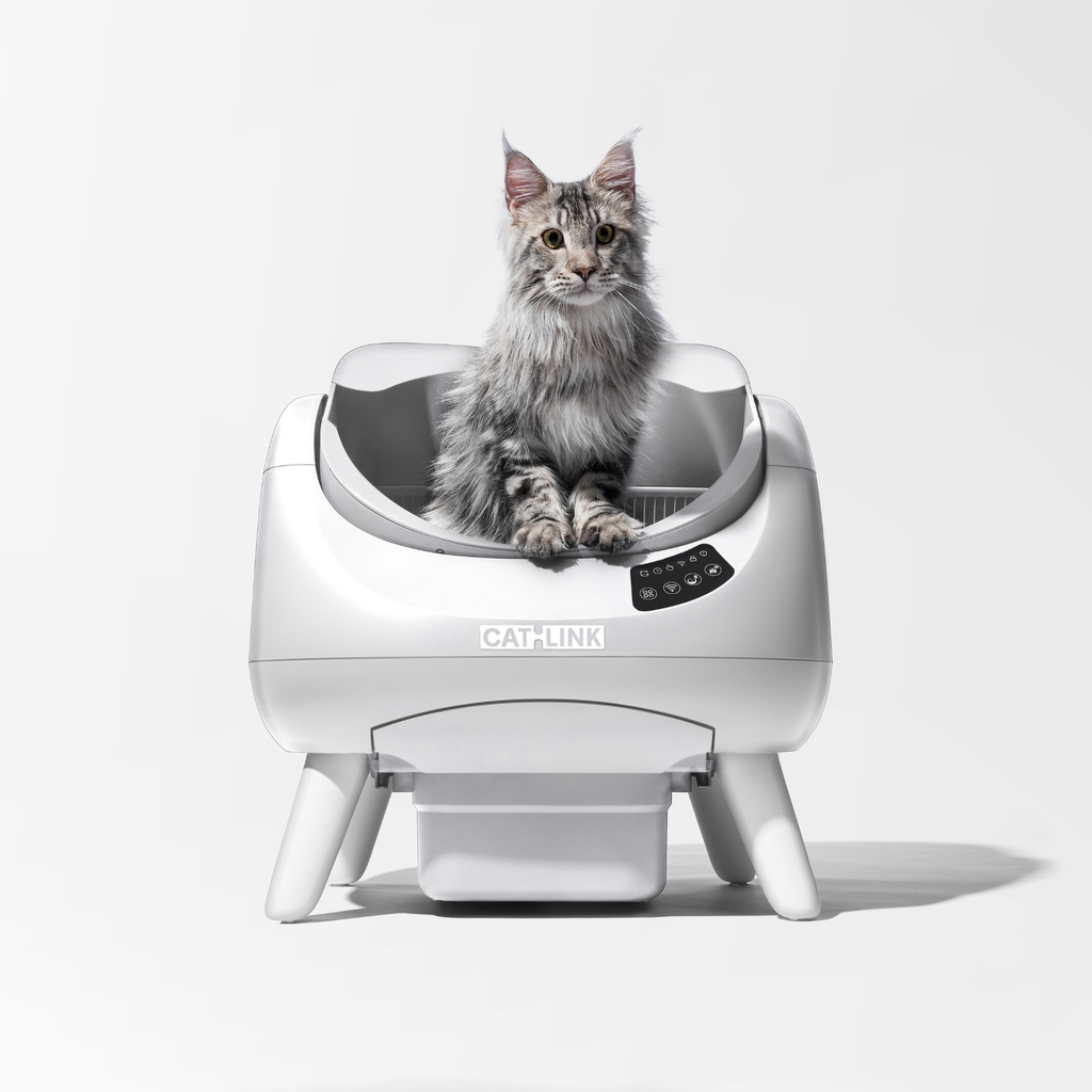 CATLINK Open X Smart Automatic Self-Cleaning Cat Litter Box – White