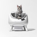 CATLINK Open X Smart Automatic Self-Cleaning Cat Litter Box – White