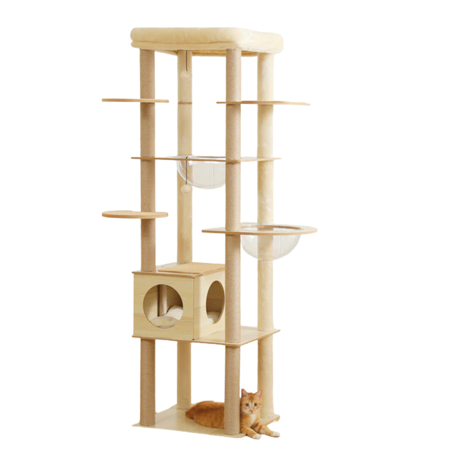 Wooden Cat Tree with Acrylic Space Capsule