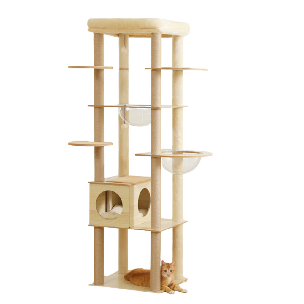 Wooden Cat Tree with Acrylic Space Capsule