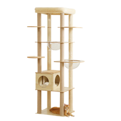 Wooden Cat Tree with Acrylic Space Capsule