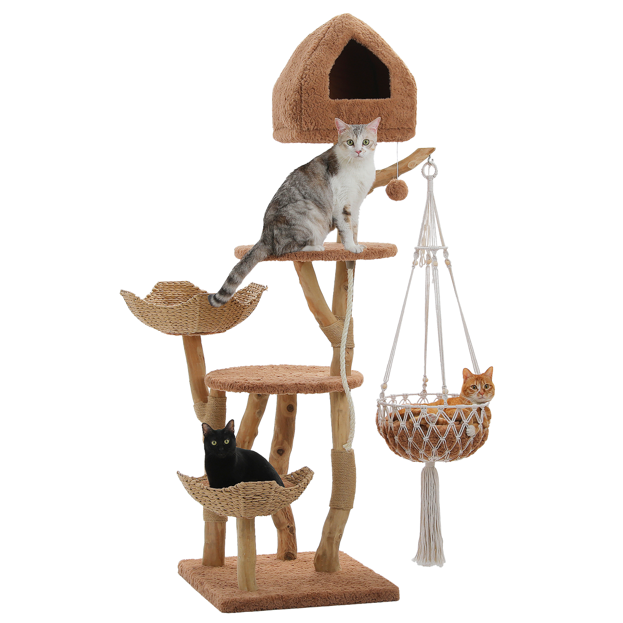 EcoPawPaw Luxury Natural Wood Cat Tree 180cm | Multi-Cat Tower