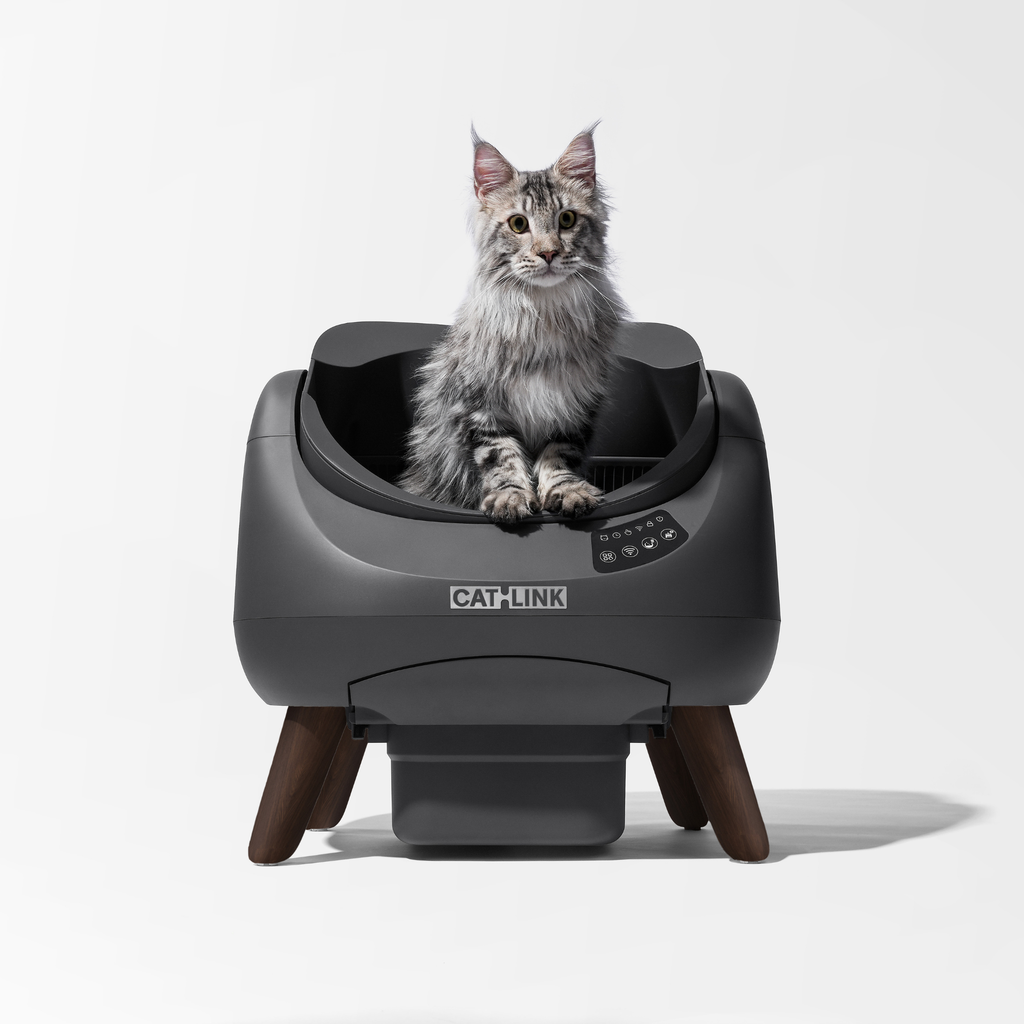 CATLINK Open X Smart Automatic Self-Cleaning Cat Litter Box – Grey