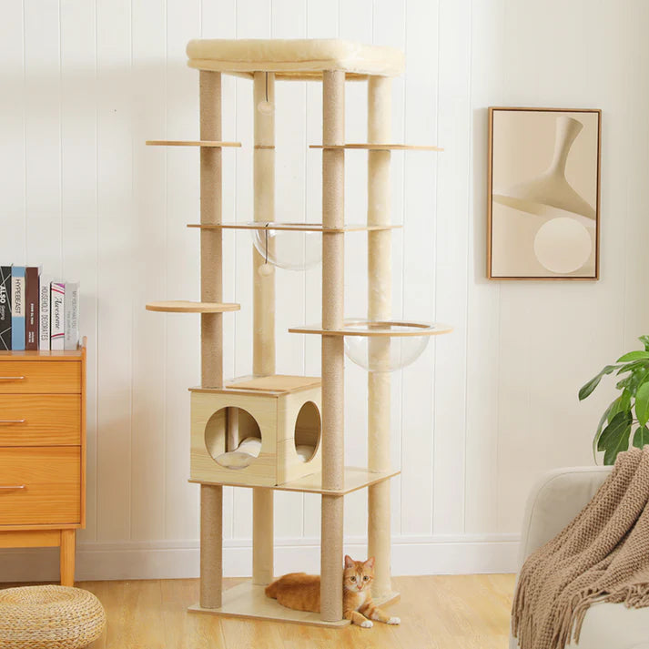 Wooden Cat Tree with Acrylic Space Capsule