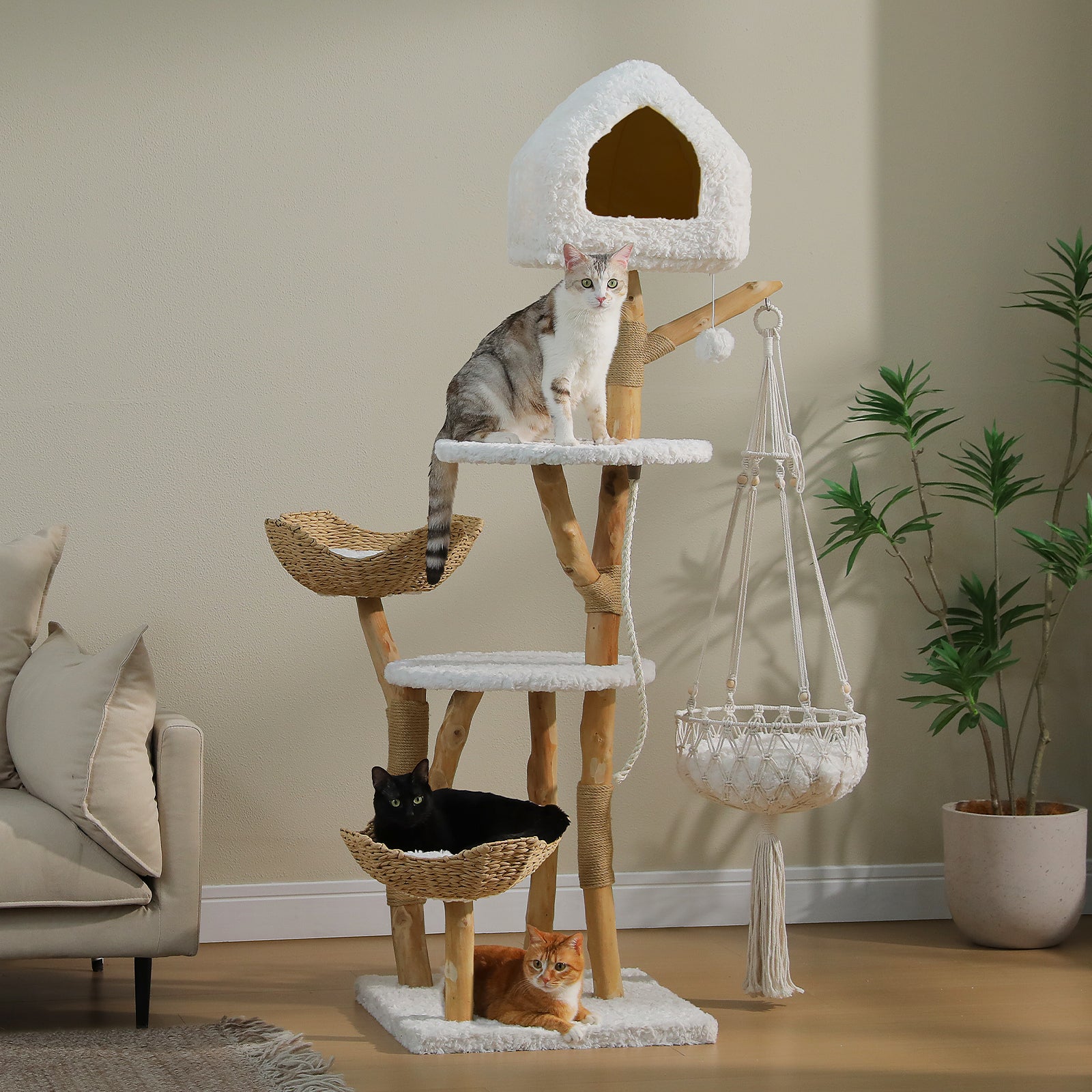 EcoPawPaw Luxury Natural Wood Cat Tree 180cm | Multi-Cat Tower