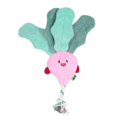 EcoPawPaw Recycled Stuffing-Free Squeaky Dog Toy – Vegetable Collection
