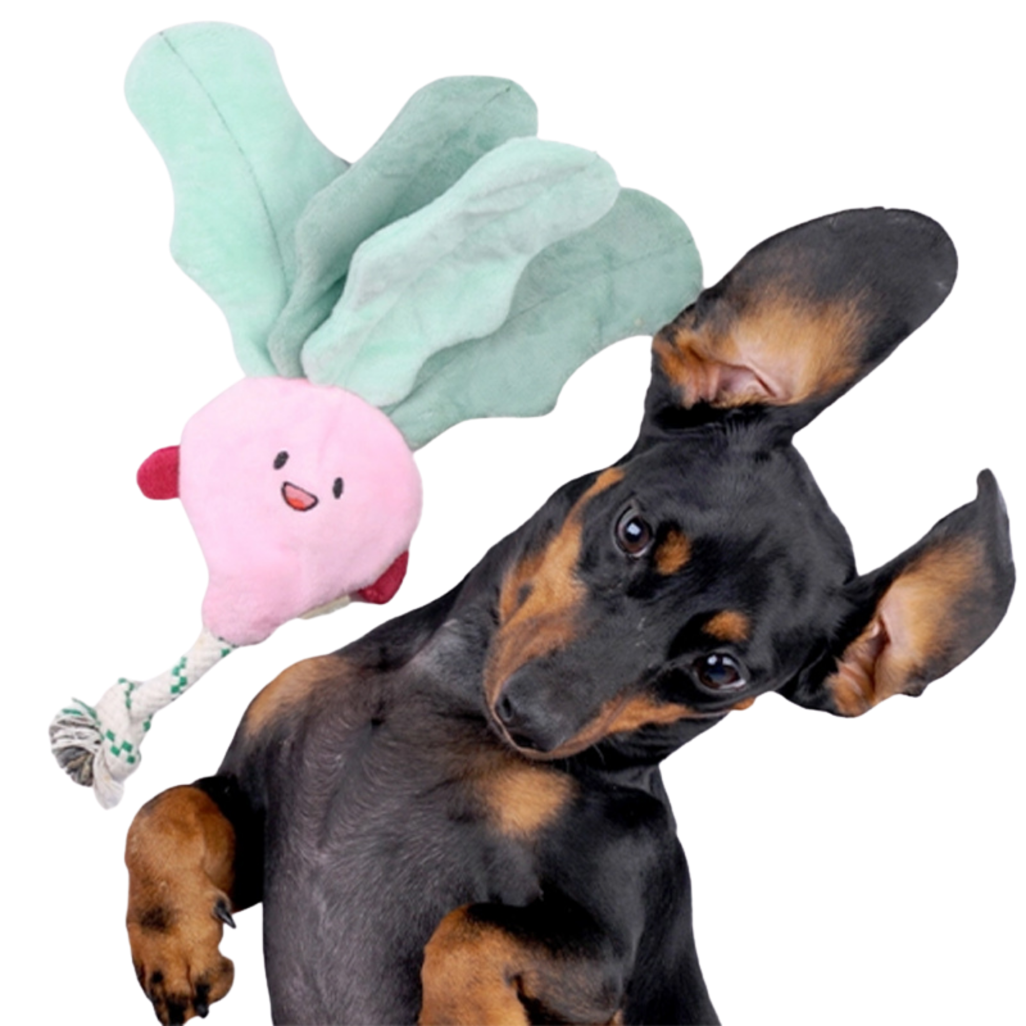 EcoPawPaw Recycled Stuffing-Free Squeaky Dog Toy – Vegetable Collection