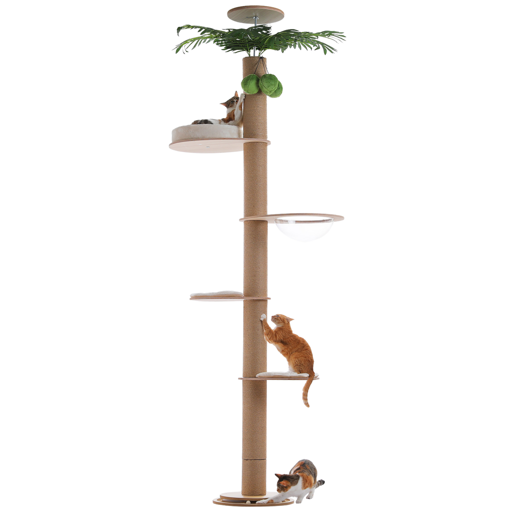 EcoPawPaw Adjustable Floor-to-Ceiling Cat Tree 245–305 cm – Tall Wooden Cat Tower with 10.5 cm Thick Sisal Post, Clear Capsule & Adjustable Platforms
