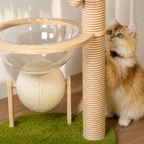 EcoPawPaw Palm Tree Cat Scratcher with Acrylic Space Capsule Bed – Modern Cat Lounge, Sisal Scratching Posts & Interactive Scratching Ball