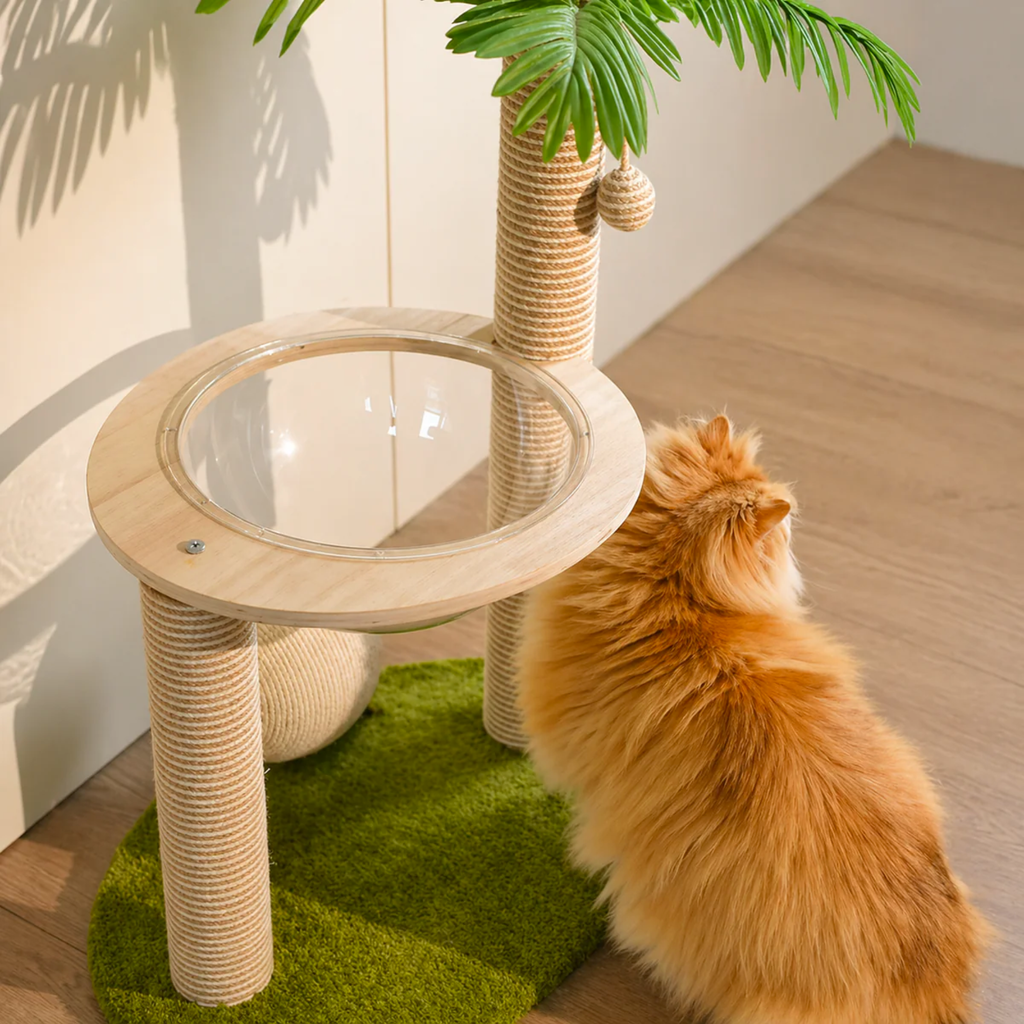 EcoPawPaw Palm Tree Cat Scratcher with Acrylic Space Capsule Bed – Modern Cat Lounge, Sisal Scratching Posts & Interactive Scratching Ball