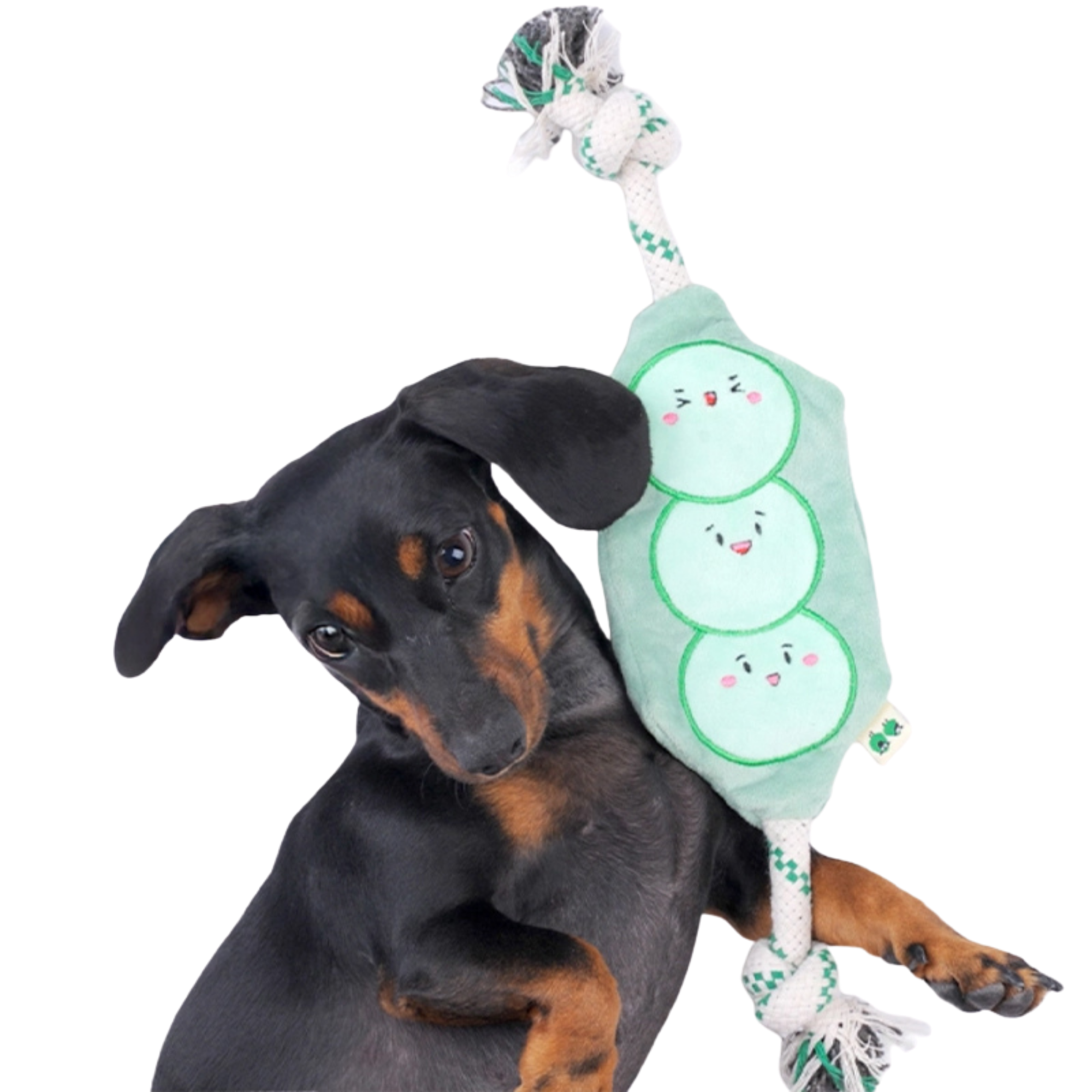 EcoPawPaw Recycled Stuffing-Free Squeaky Dog Toy – Vegetable Collection