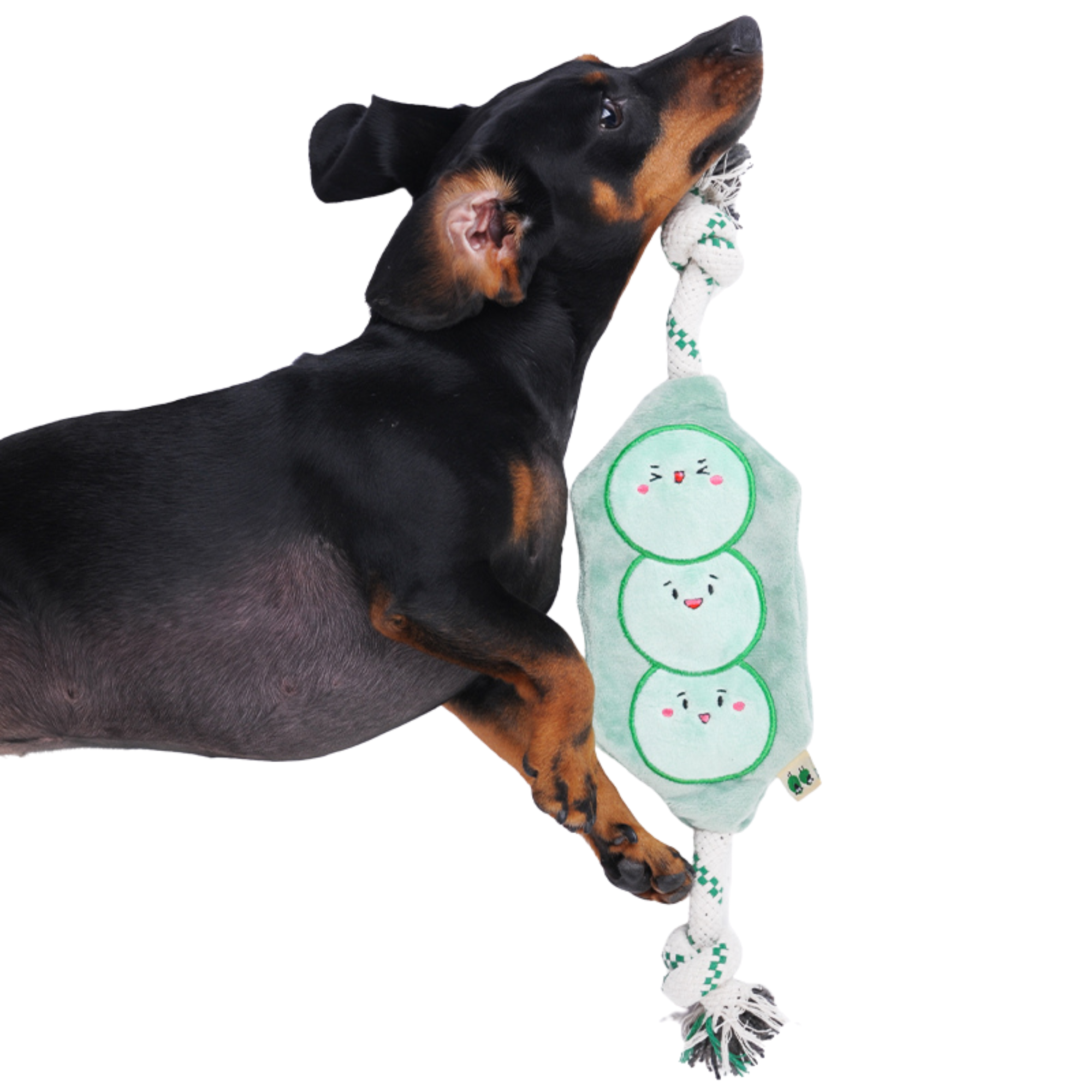 EcoPawPaw Recycled Stuffing-Free Squeaky Dog Toy – Vegetable Collection