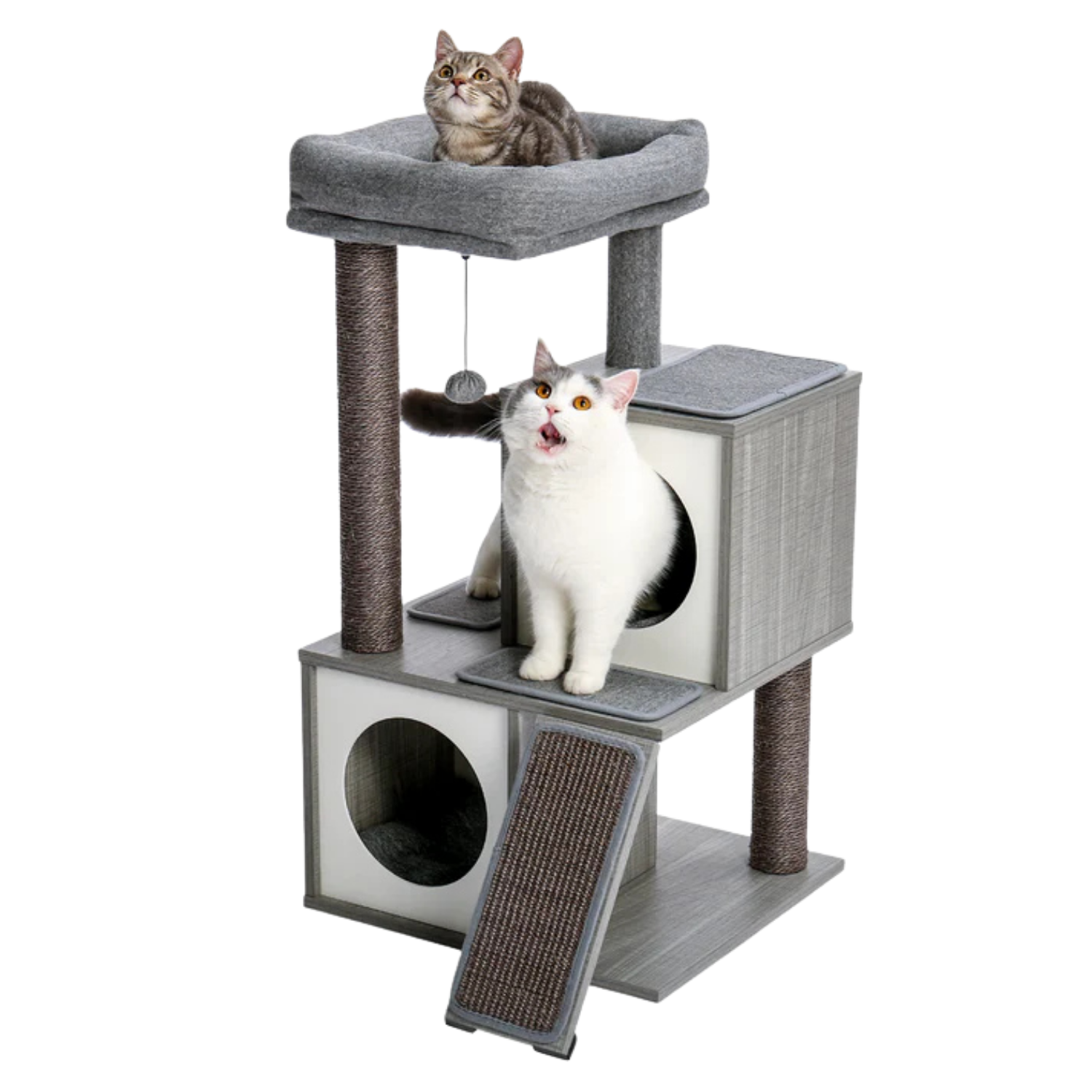 Cats on a grey wooden cat tree with top bed and scratching ramp