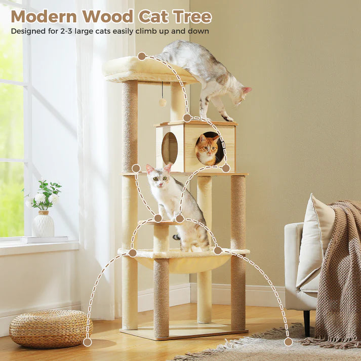 Wooden Cat Tree with Condo & Hammock