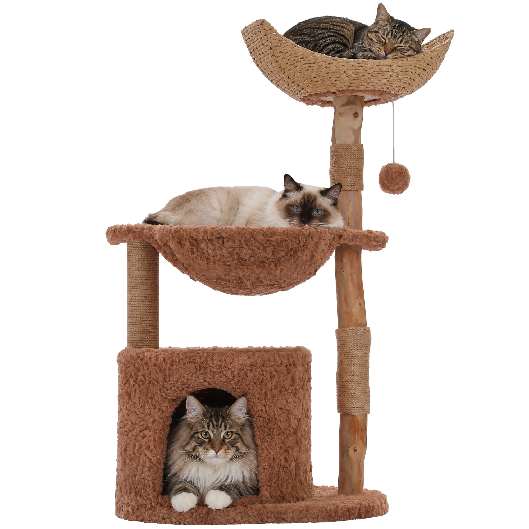 EcoPawPaw 102cm Natural Wood Cat Tree with Woven Basket & Cozy Cat House