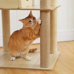 Wooden Cat Tree with Acrylic Space Capsule