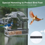EcoPawPaw Clear Window Bird Feeder– Acrylic Weatherproof Bird Feeder for Outdoor Bird Watching