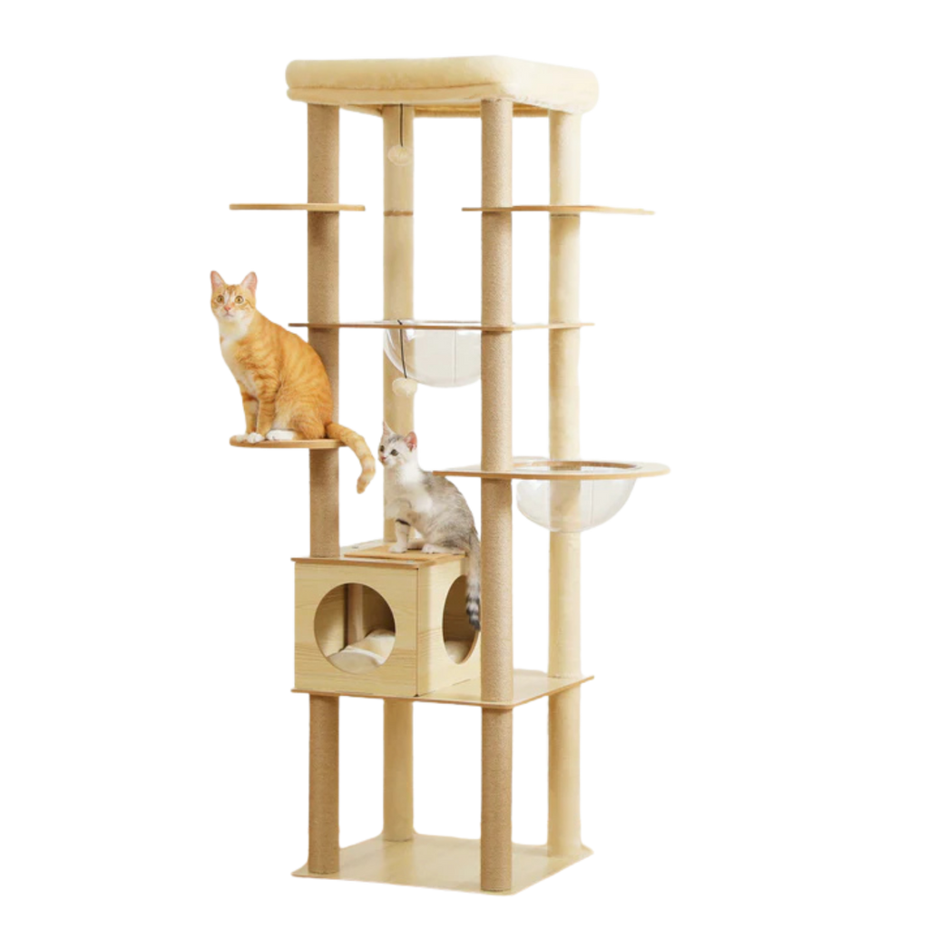 Wooden Cat Tree with Acrylic Space Capsule