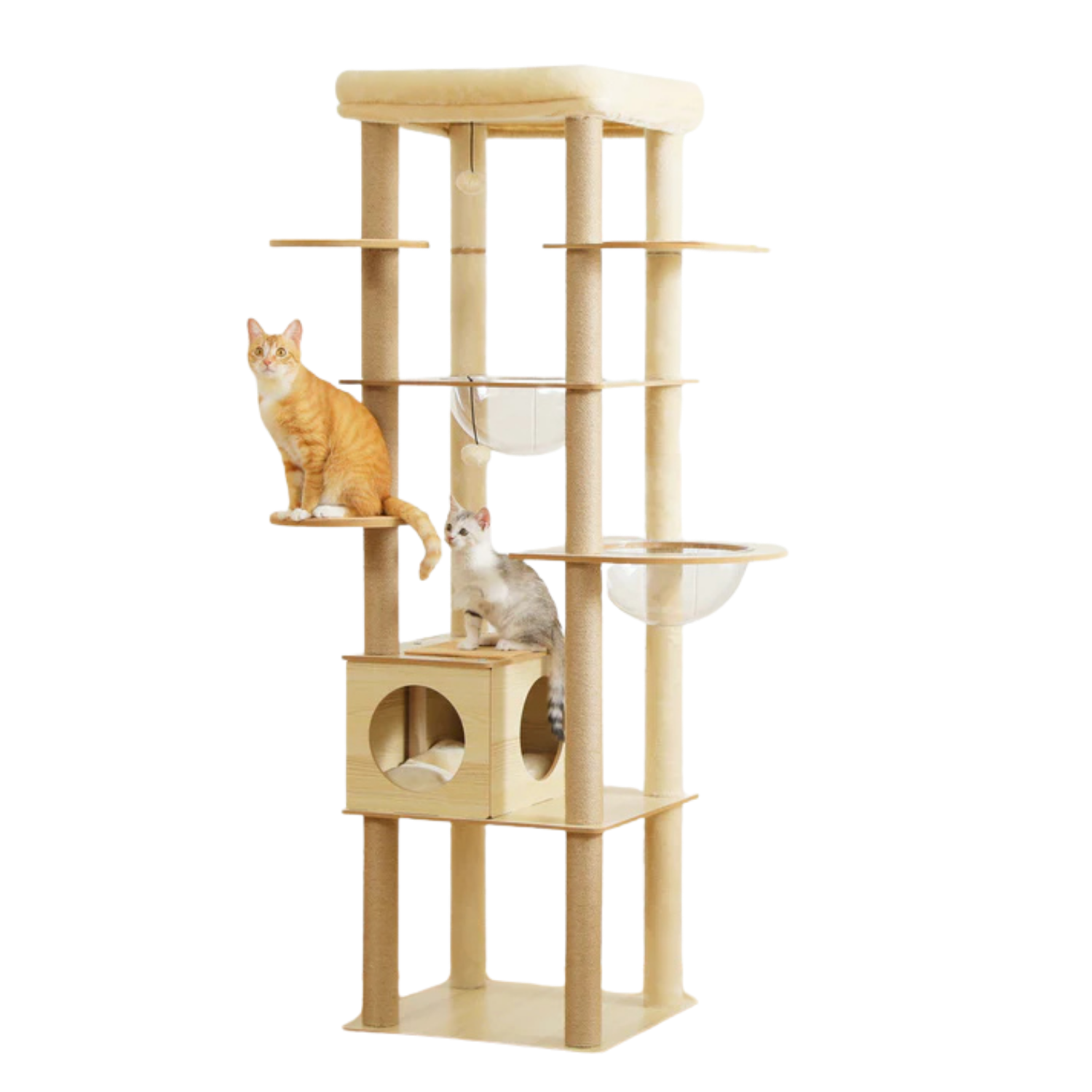 Wooden Cat Tree with Acrylic Space Capsule
