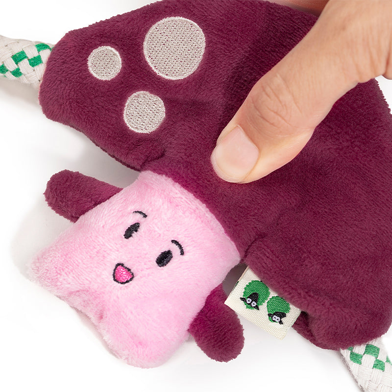 EcoPawPaw Recycled Stuffing-Free Squeaky Dog Toy – Vegetable Collection