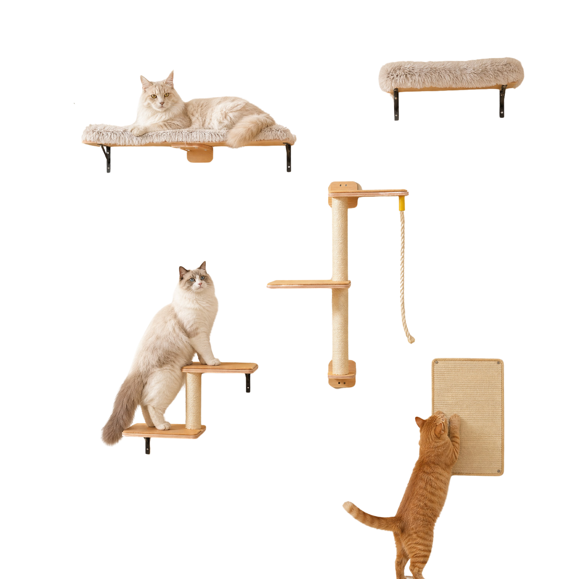 EcoPawPaw Natural Wall-Mounted Cat Climbing Set
