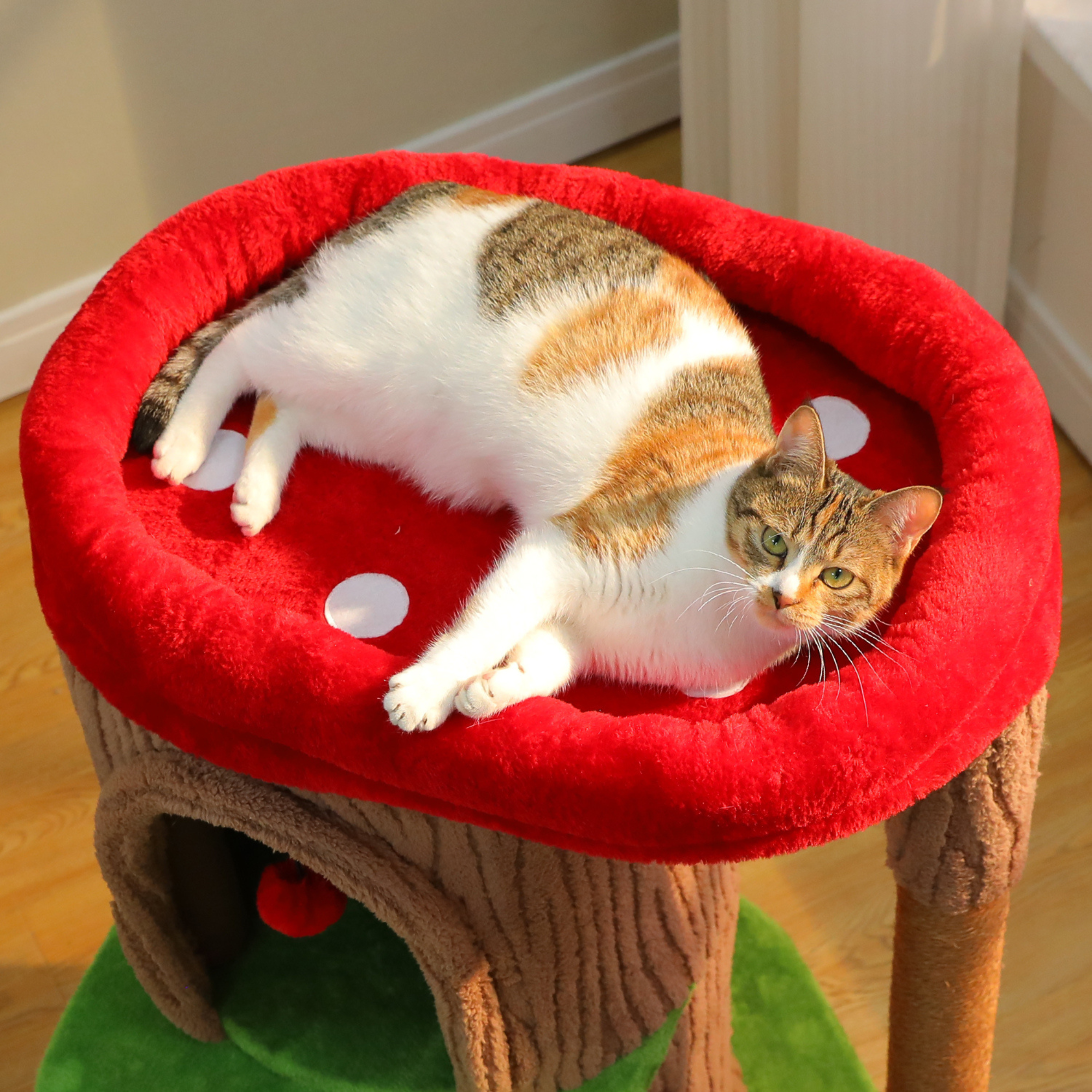 EcoPawPaw Tree Trunk Cat Tower